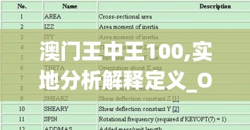 澳門王中王100,實地分析解釋定義_OP1.752