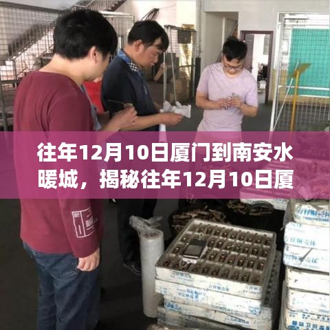 揭秘廈門(mén)至南安水暖城之旅，一場(chǎng)別樣的旅程體驗(yàn)在往年12月10日盛大開(kāi)啟