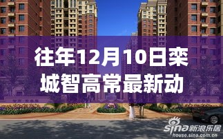 往年12月10日欒城智高常最新動(dòng)態(tài)，科技與智慧的融合進(jìn)展持續(xù)更新