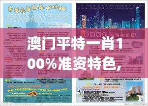 澳門平特一肖100%準(zhǔn)資特色,實(shí)地?cái)?shù)據(jù)驗(yàn)證實(shí)施_7DM7.676