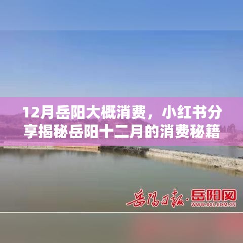 揭秘岳陽(yáng)十二月消費(fèi)秘籍，玩轉(zhuǎn)冬日消費(fèi)新風(fēng)尚，小紅書帶你領(lǐng)略當(dāng)?shù)叵M(fèi)文化！
