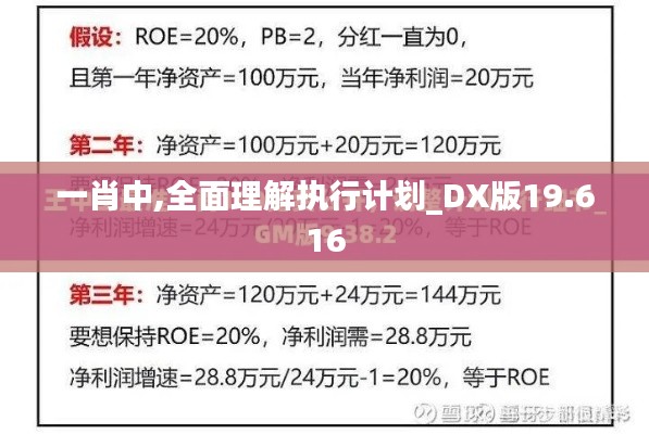 一肖中,全面理解執(zhí)行計(jì)劃_DX版19.616