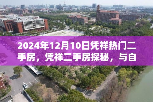 憑祥熱門二手房探秘，與自然美景的邂逅，尋找寧靜家園