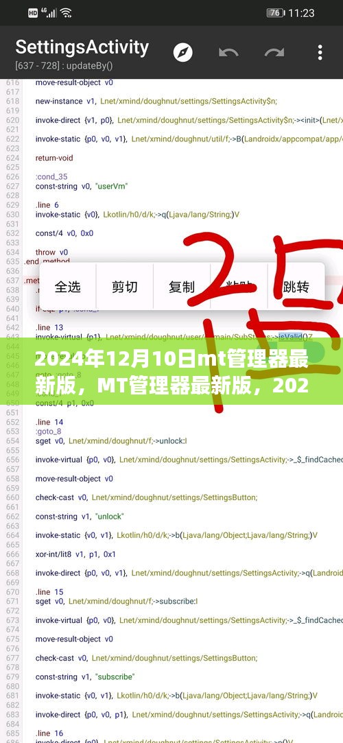 MT管理器最新版回顧與展望，2024年12月10日的功能更新與未來(lái)展望
