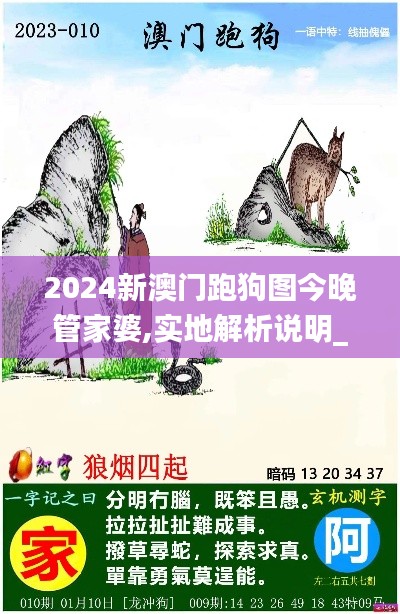 2024新澳門跑狗圖今晚管家婆,實地解析說明_專家版4.938