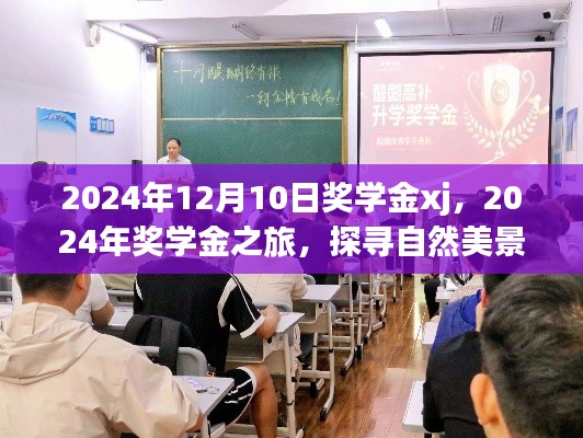 探尋自然美景，尋找內(nèi)心寧靜的獎學(xué)金之旅——2024年獎學(xué)金xj紀(jì)實