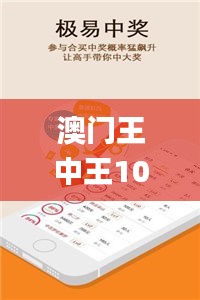 澳門王中王100%期期中一期,靈活設(shè)計(jì)解析方案_精裝版8.182