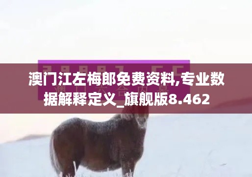 澳門江左梅郎免費資料,專業(yè)數(shù)據(jù)解釋定義_旗艦版8.462
