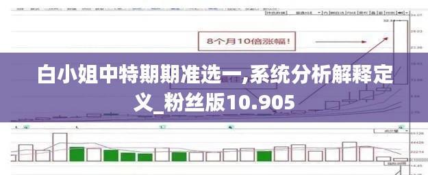 白小姐中特期期準(zhǔn)選一,系統(tǒng)分析解釋定義_粉絲版10.905