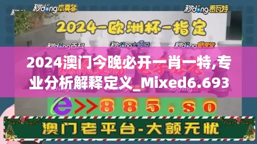 2024澳門今晚必開一肖一特,專業(yè)分析解釋定義_Mixed6.693