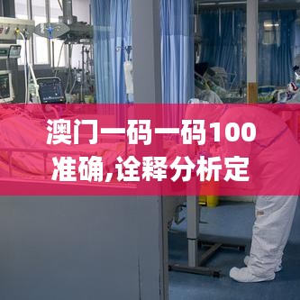 澳門一碼一碼100準確,詮釋分析定義_移動版9.508
