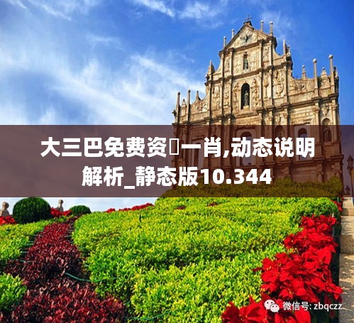 大三巴免費資枓一肖,動態(tài)說明解析_靜態(tài)版10.344