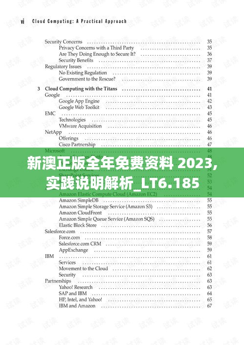 新澳正版全年免費(fèi)資料 2023,實(shí)踐說(shuō)明解析_LT6.185