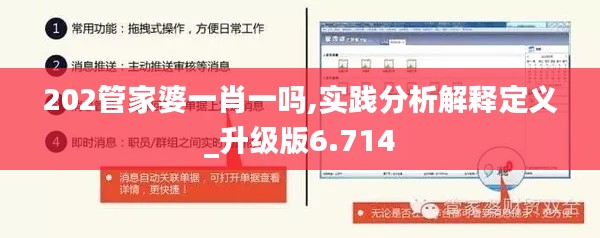 202管家婆一肖一嗎,實踐分析解釋定義_升級版6.714
