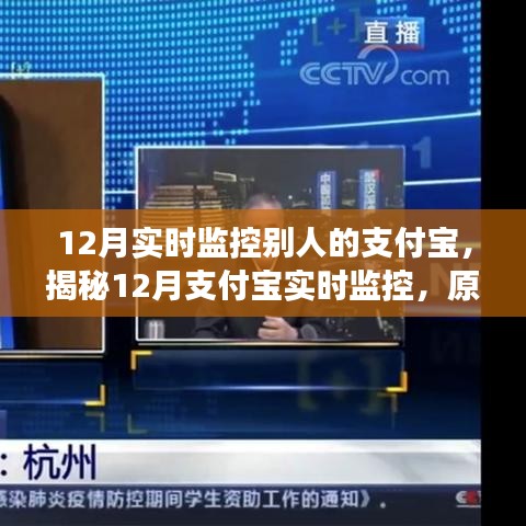 揭秘支付寶實(shí)時(shí)監(jiān)控，原理、應(yīng)用與注意事項(xiàng)（12月專版）