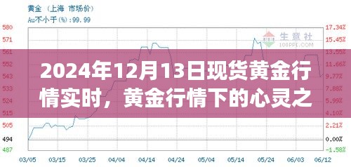 黃金行情下的心靈之旅，探尋黃金行情實時變化與內心平靜的黃金探險之旅（2024年12月13日）
