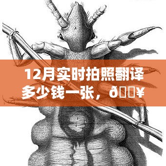 揭秘，實時拍照翻譯技術(shù)的價格與魅力，12月拍照翻譯新紀(jì)元開啟！