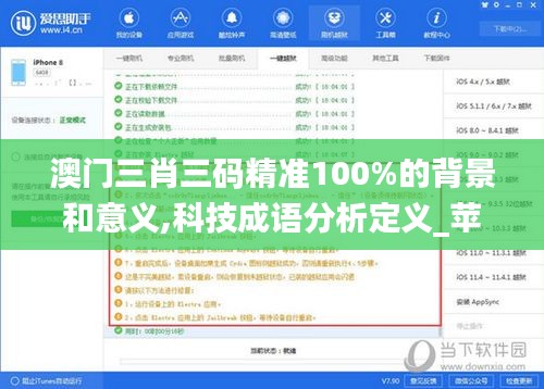 澳門三肖三碼精準100%的背景和意義,科技成語分析定義_蘋果8.479