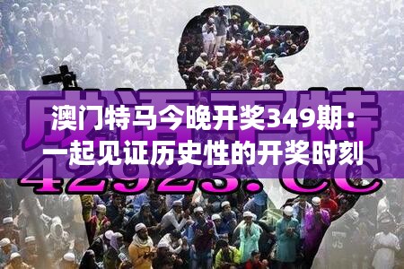 澳門特馬今晚開獎349期：一起見證歷史性的開獎時刻