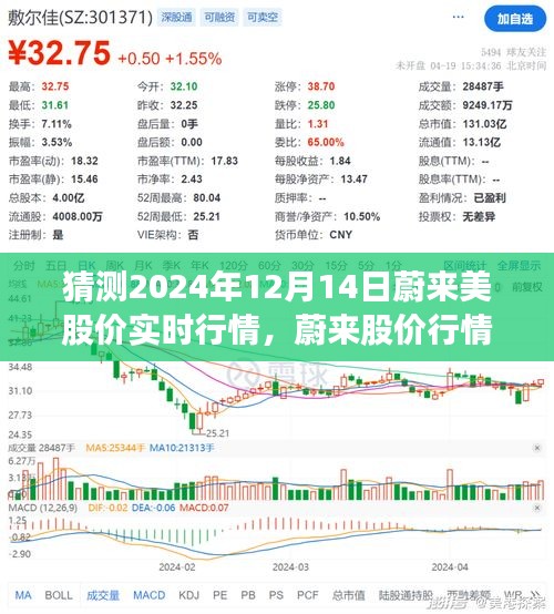 蔚來股價行情展望，解析蔚來在2024年12月14日的股價實時行情預測及展望