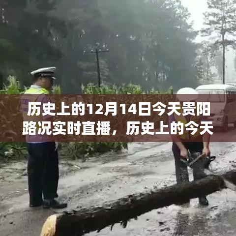 歷史上的今天與實時直播，貴陽路況見證變化的力量與自信之光