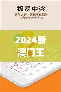 2024新澳門王中王正版,深度分析解釋定義_5DM3.257
