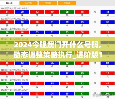 2024今晚澳門開什么號(hào)碼,動(dòng)態(tài)調(diào)整策略執(zhí)行_進(jìn)階版19.345