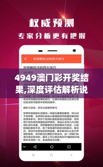 4949澳門彩開獎(jiǎng)結(jié)果,深度評估解析說明_Windows3.607