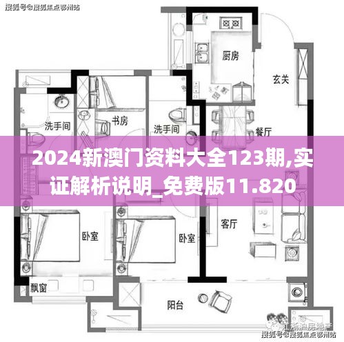 2024新澳門資料大全123期,實證解析說明_免費版11.820