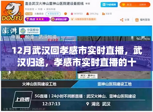 武漢歸途十二月的孝感市實時直播回響