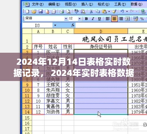 2024年實(shí)時(shí)表格數(shù)據(jù)記錄操作指南，從入門到進(jìn)階的詳細(xì)指南（含實(shí)時(shí)數(shù)據(jù)記錄表）