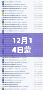 揭秘蒙古實(shí)時(shí)填報(bào)，深度解析與探討（12月14日）