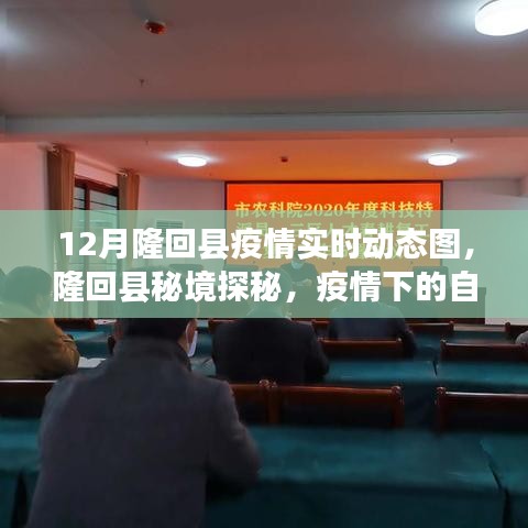 隆回縣疫情實時動態(tài)與秘境探秘，自然之旅中的心靈尋找