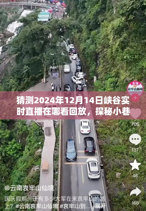 探秘小巷深處風味與揭秘峽谷直播回放觀看指南，重溫精彩瞬間（2024年峽谷直播回放觀看指南）