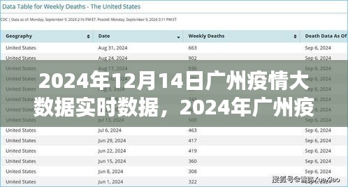 2024年廣州疫情大數(shù)據(jù)實時分析報告，最新數(shù)據(jù)及分析