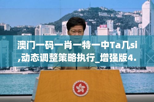 澳門一碼一肖一特一中Ta幾si,動態(tài)調(diào)整策略執(zhí)行_增強版4.179