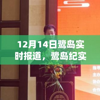 鷺島紀實，探尋城市脈搏與生態(tài)觀察的12月14日特寫