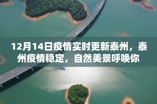 泰州疫情穩(wěn)定，自然美景呼喚探索，12月14日疫情實(shí)時(shí)更新