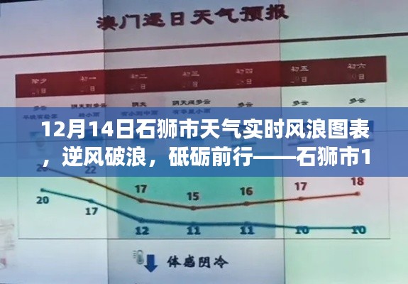 石獅市12月14日風浪實時圖表與成長之旅，逆風破浪，砥礪前行