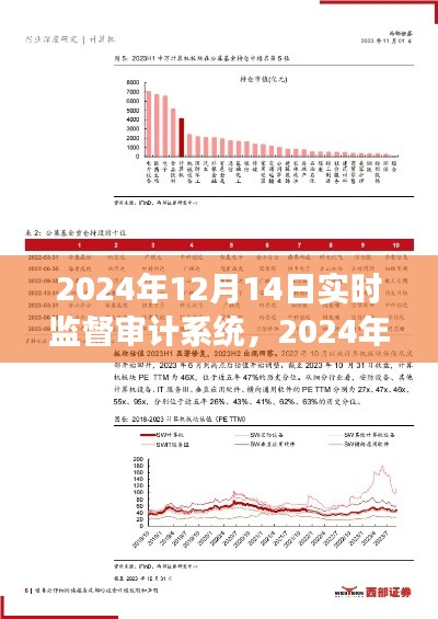 2024年實時監(jiān)督審計系統(tǒng)效能探討，價值、前景及展望