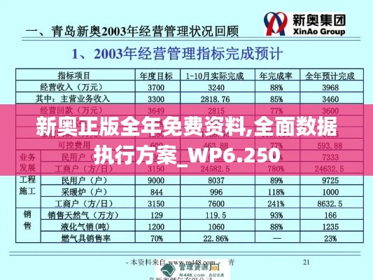 新奧正版全年免費資料,全面數(shù)據(jù)執(zhí)行方案_WP6.250