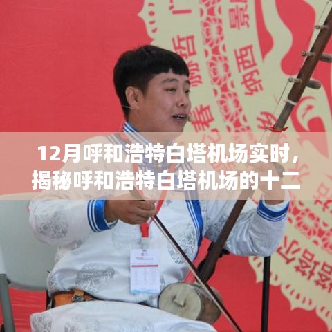 揭秘呼和浩特白塔機場十二月運營實況，最新實時動態(tài)分析