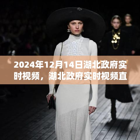 湖北政府實(shí)時(shí)視頻直播聚焦未來(lái)篇章，共探發(fā)展新篇章的要點(diǎn)
