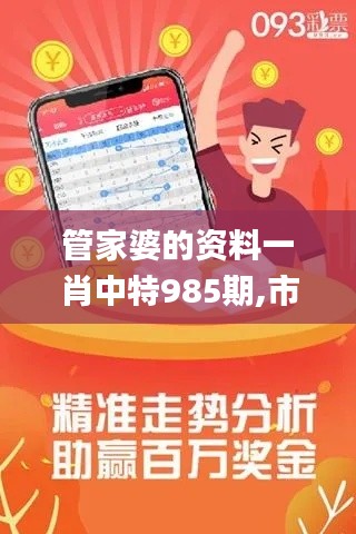 管家婆的資料一肖中特985期,市場趨勢方案實(shí)施_D版10.556