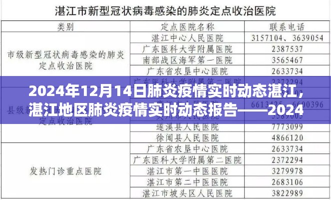 湛江地區(qū)肺炎疫情實(shí)時(shí)動(dòng)態(tài)報(bào)告，深度解析至2024年12月14日