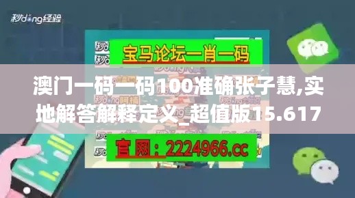 澳門一碼一碼100準確張子慧,實地解答解釋定義_超值版15.617
