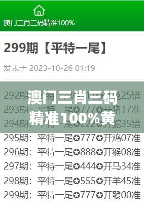 澳門三肖三碼精準100%黃大仙,數(shù)據(jù)整合策略解析_Executive13.492