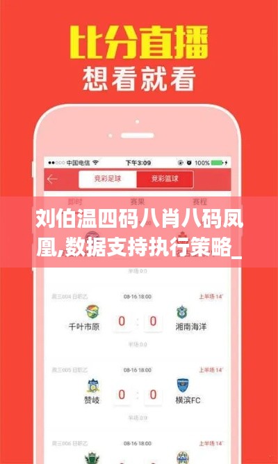 劉伯溫四碼八肖八碼鳳凰,數(shù)據(jù)支持執(zhí)行策略_SE版10.980