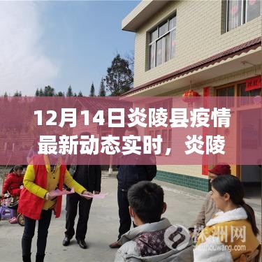 炎陵縣疫情最新動(dòng)態(tài)與日常故事，溫情陪伴下的抗疫之路