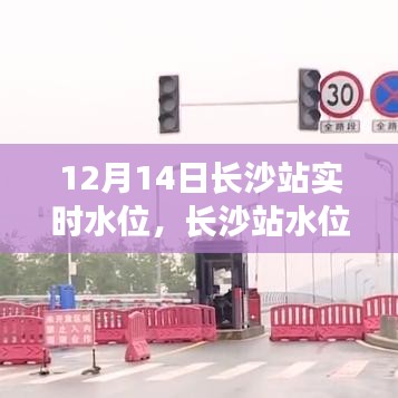 長沙站水位下的溫情故事，與友共度美好時(shí)光（實(shí)時(shí)水位報(bào)道）